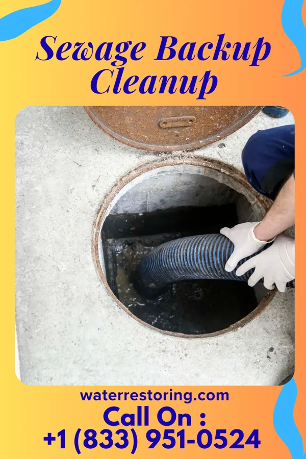 Sewage Backup Cleanup in Imogene, IA